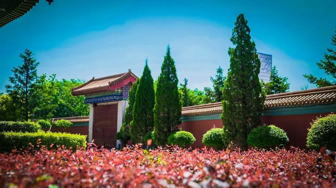 念佛三不问,往生不绕弯! 念佛三不问,往生不绕弯!