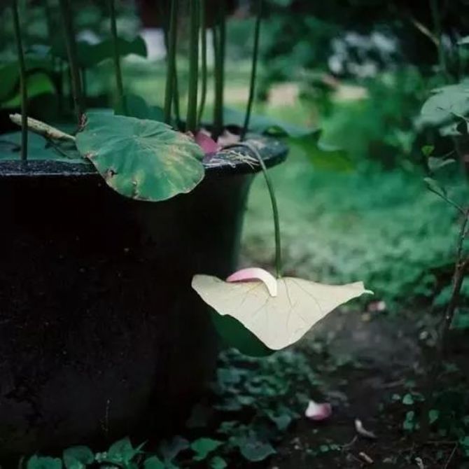 ��Ϊ���������������ܱ�ҵ��������