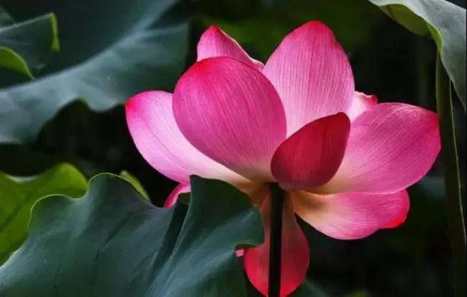 ����ж�ʱ��������ް����ӷ𡱣�