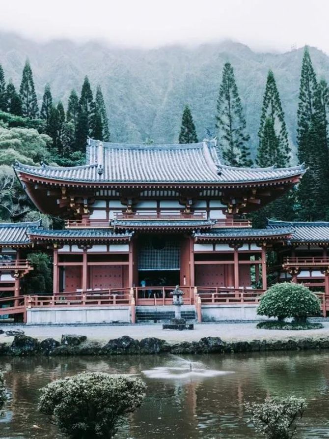 ����ȥ������������ľ���֪���Լ���ǰ����