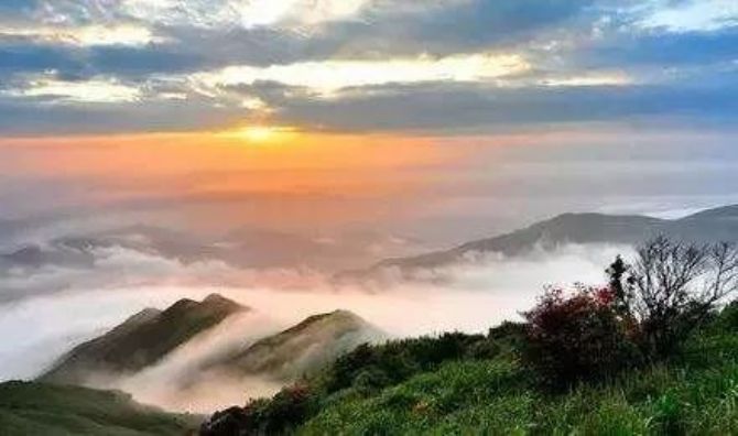 ɽ������_�Ҿ͹�ȥ���������������鶼������