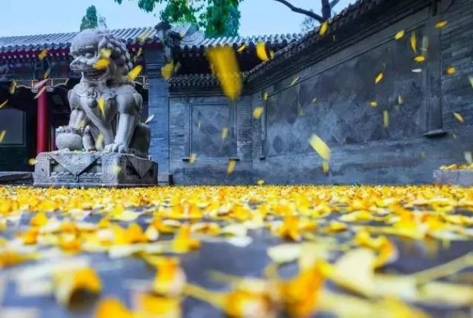 ������Ҫ�ú��ޣ���ҪǷ��������ծ��