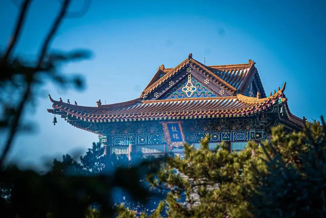 往生净土后为什么能得到不退转? 往生净土后为什么能得到不退转?