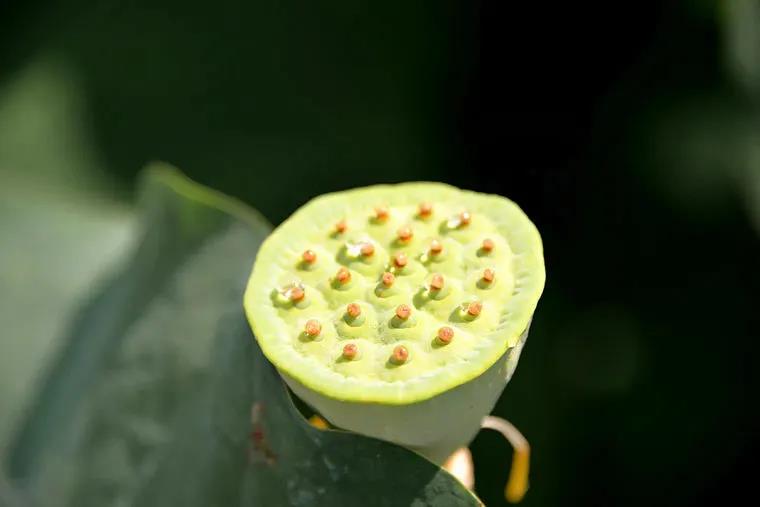 定业能不能转?有这样一个比喻 定业能不能转?有这样一个比喻