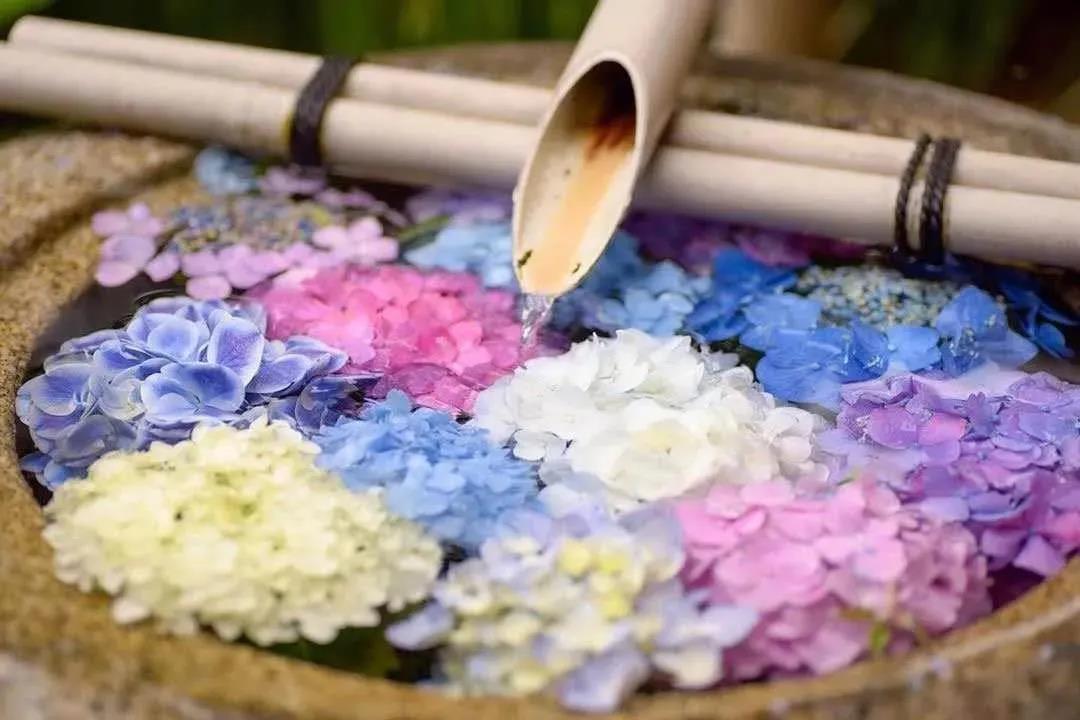 �ȱ����ˣ��ǻ����£���ѧ���ԭ��