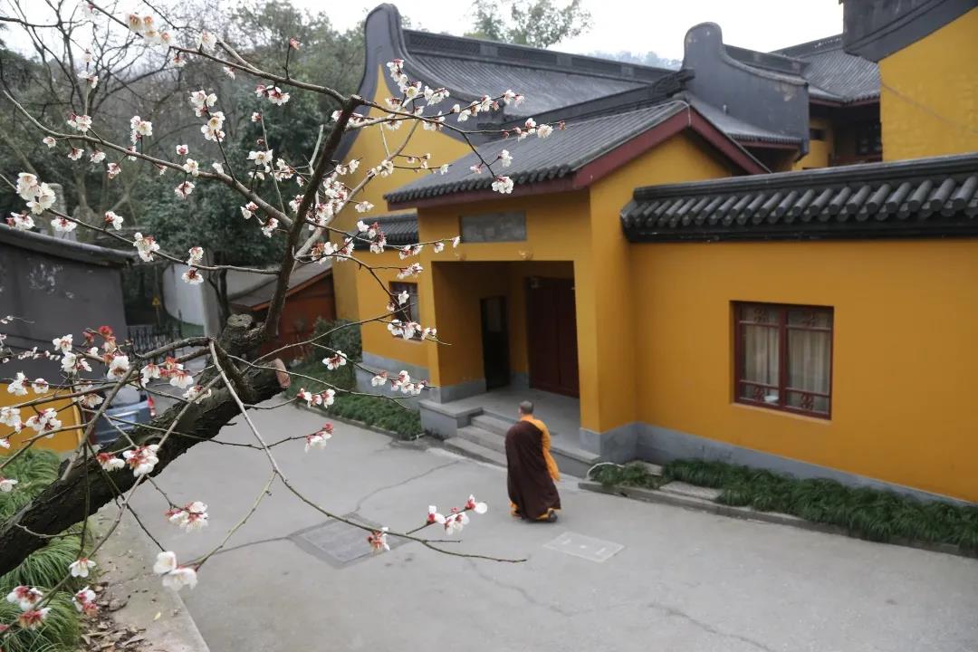 �˽�һ�£��йصز��������������ʡ���