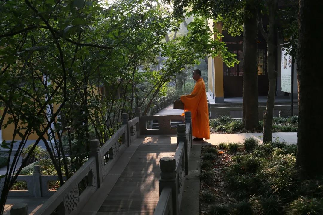 �˽�һ�£��йصز��������������ʡ���