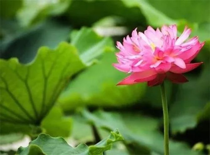 �������빤���й����Լ����ģ������ѧ�����;��