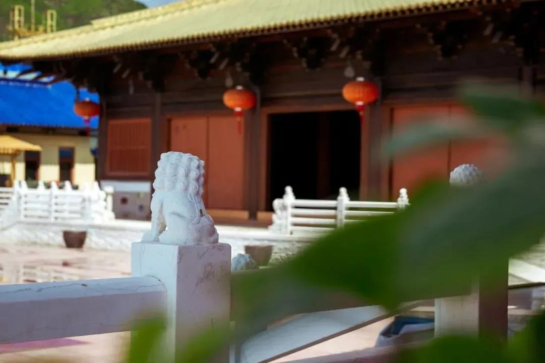 净土进阶篇:做好这四个步骤,为往生做准备 净土进阶篇:做好这四个步骤,为往生做准备