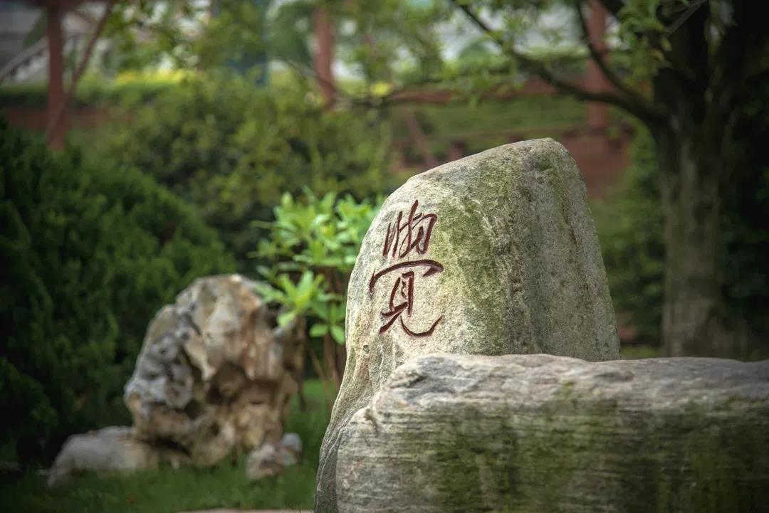 无法参透的,往往是无法忘记的 无法参透的,往往是无法忘记的