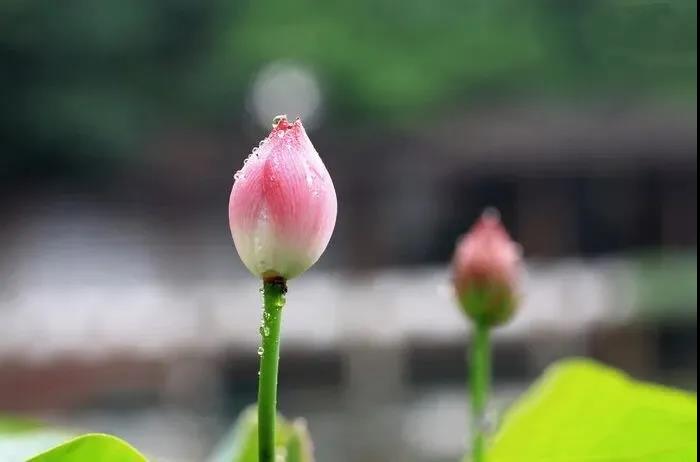 如何和自己不喜欢的人相处? 如何和自己不喜欢的人相处?