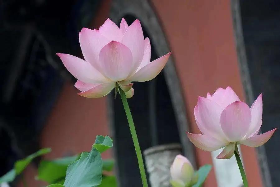 ��ѧ����վ������ֺ���