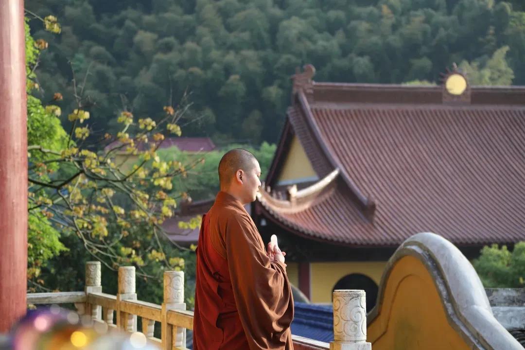 ͸���𷨿����磺������ȥ�ˣ������ô�죿