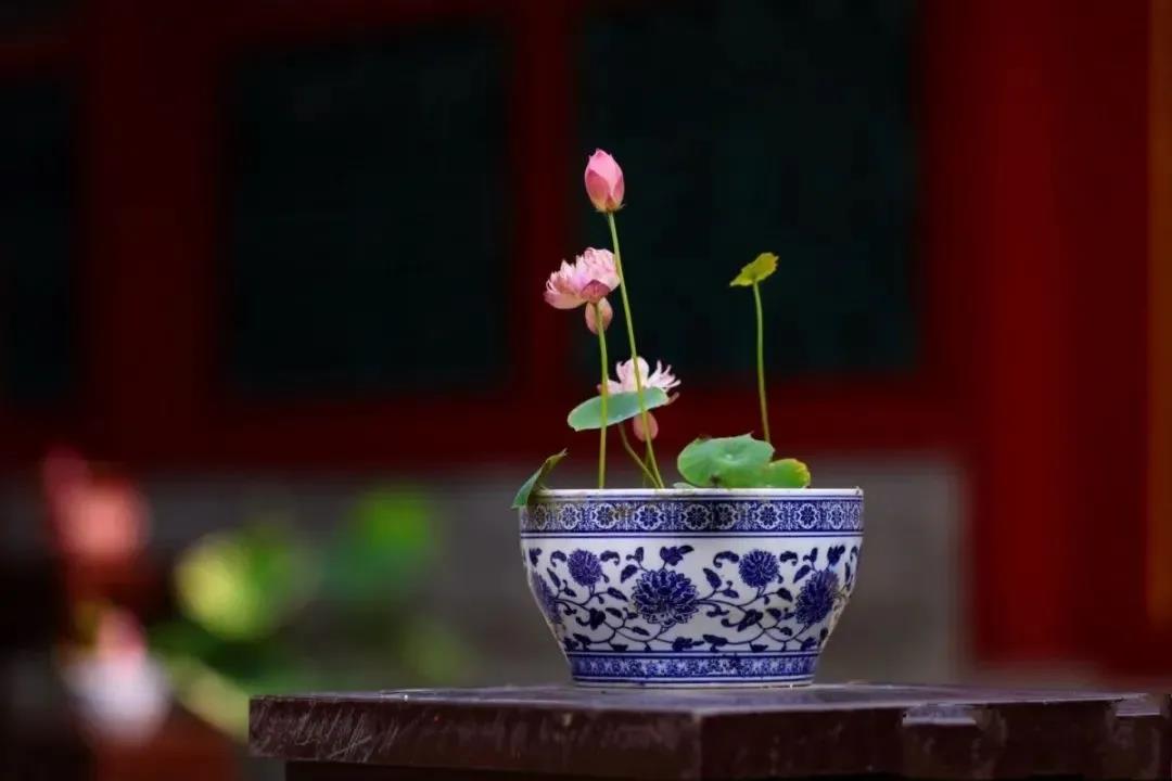 �𷨾���������һ�����粻�����ģ�������õ����ף�