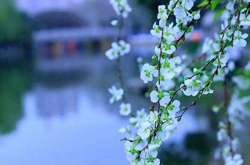 ������Ϊһ�����������ˣ�