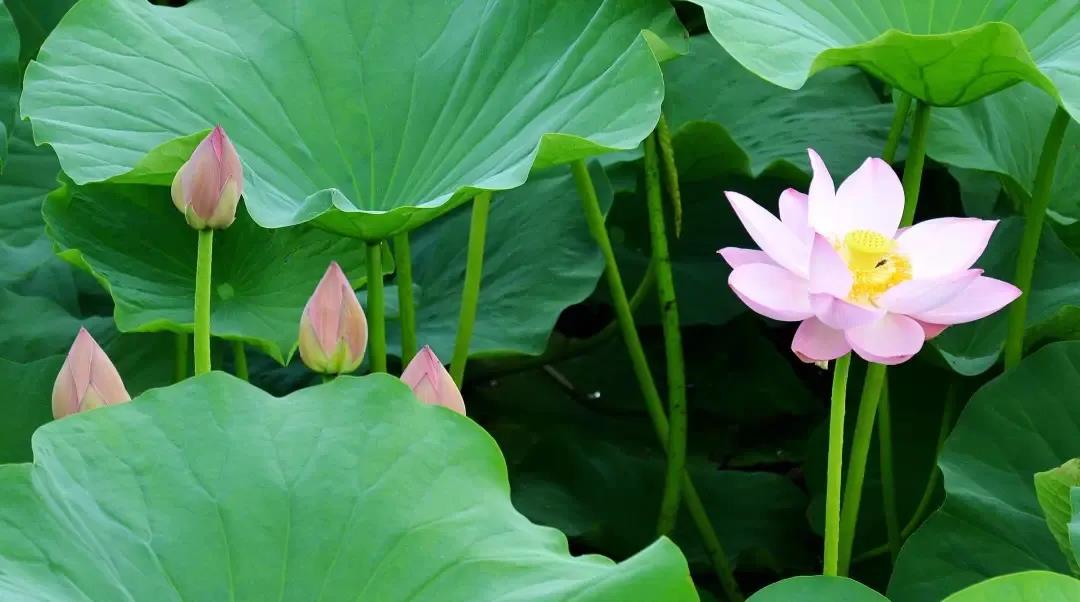 5������ҵ�ϵ���Ч�����������Լ����������㣿