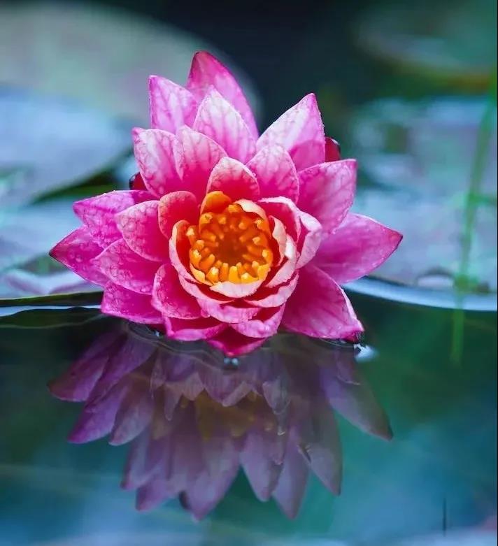 �ѷ𷨵����ӣ������Լ�