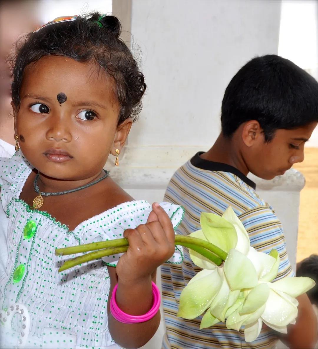 ����������ڽ�����ʵ��ѧ����Ⱥ�����������