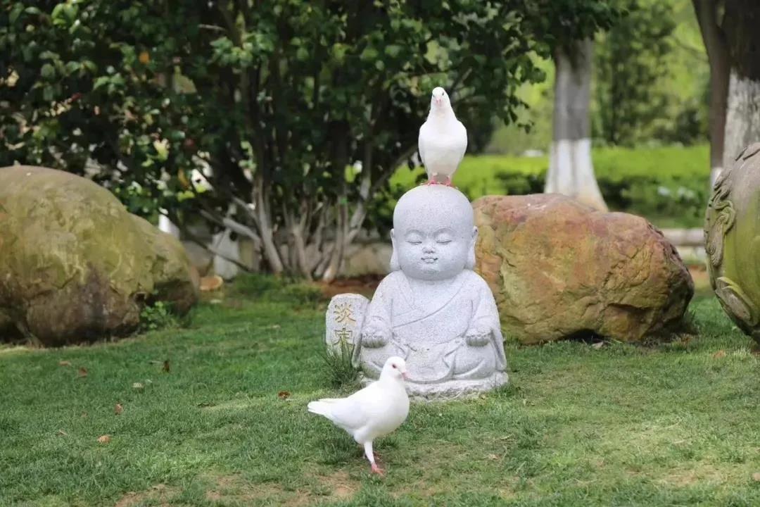 ˭�˱���˵�ˣ�˭�˱�������˵��