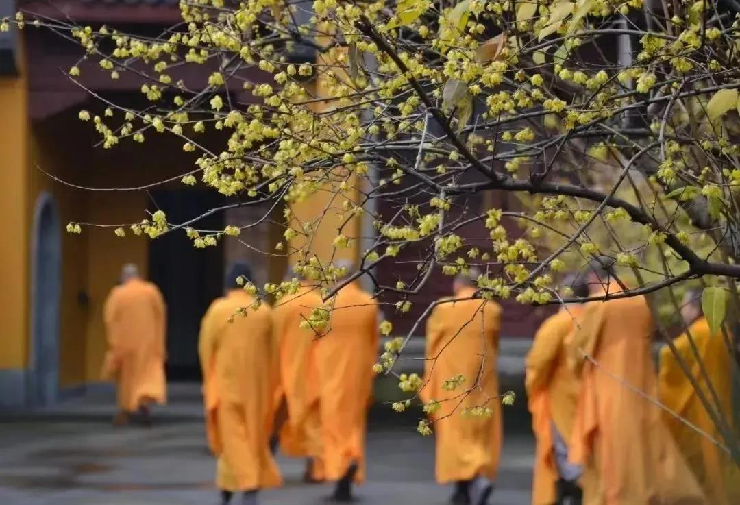 “此生不了道,披毛戴角还”是真的吗? “此生不了道,披毛戴角还”是真的吗?