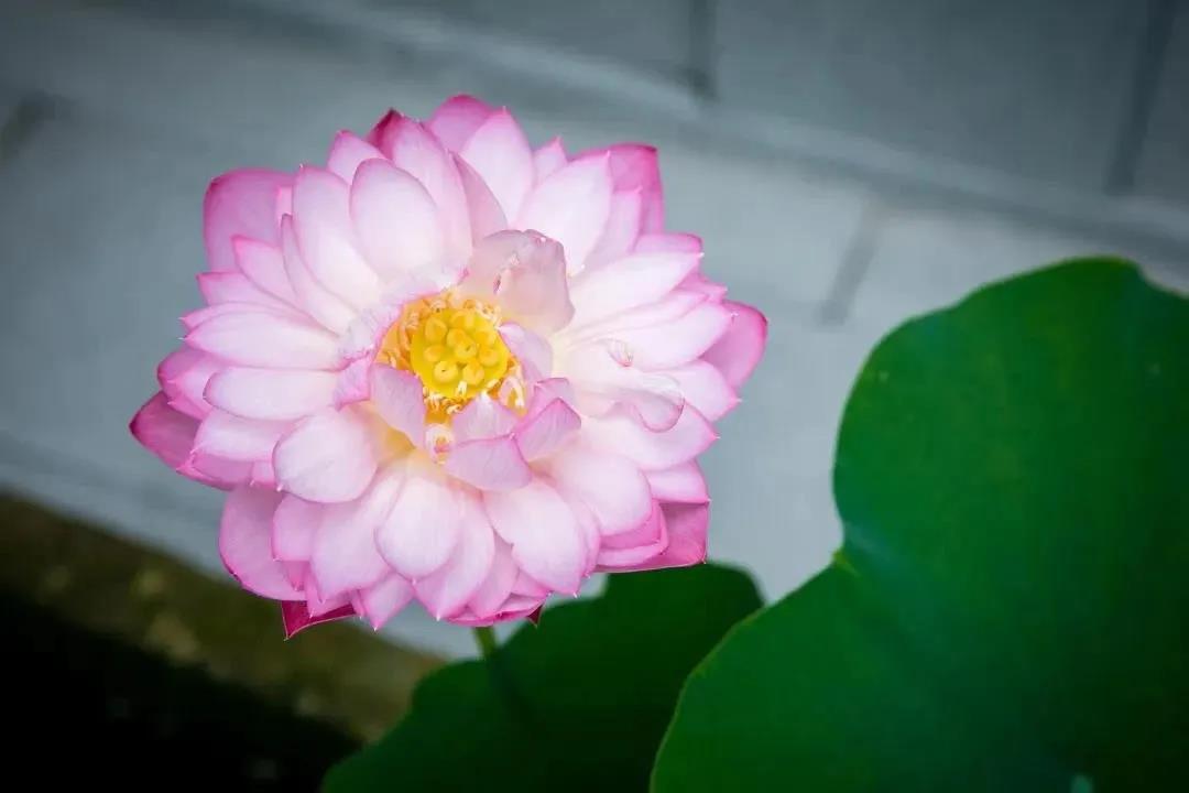 ���۵õ�ʲô����ֻ��ʹ���һ����