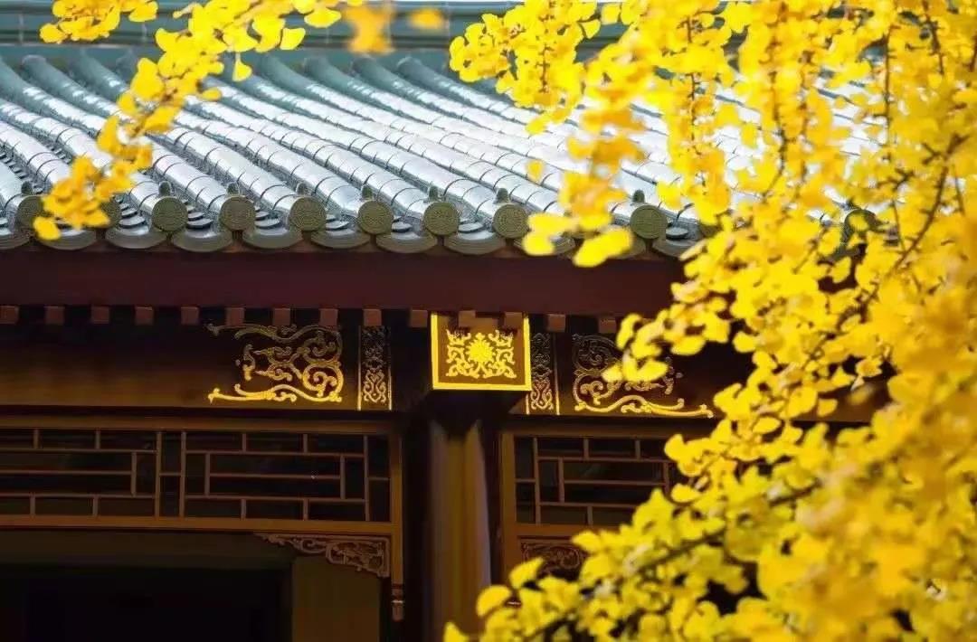 莫将容易得_便作等闲看_——_佛法一句受用终身 莫将容易得_便作等闲看_——_佛法一句受用终身