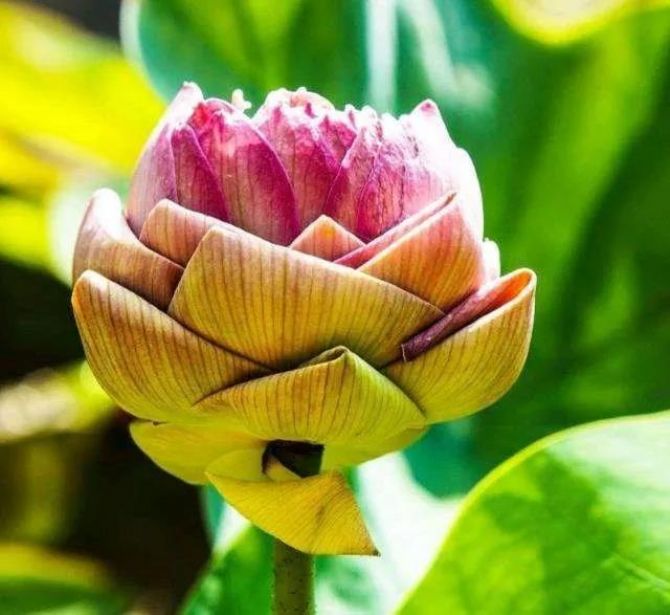 莫将容易得_便作等闲看_——_佛法一句受用终身 莫将容易得_便作等闲看_——_佛法一句受用终身