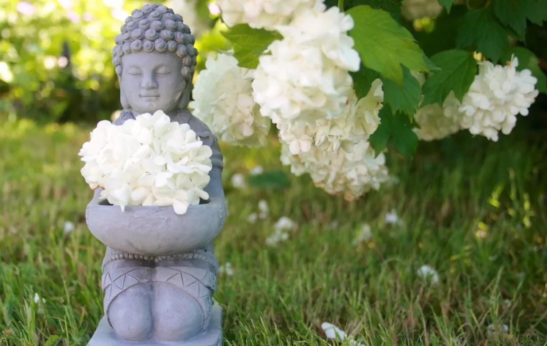 �������ж��������ߵ��������أ����������~