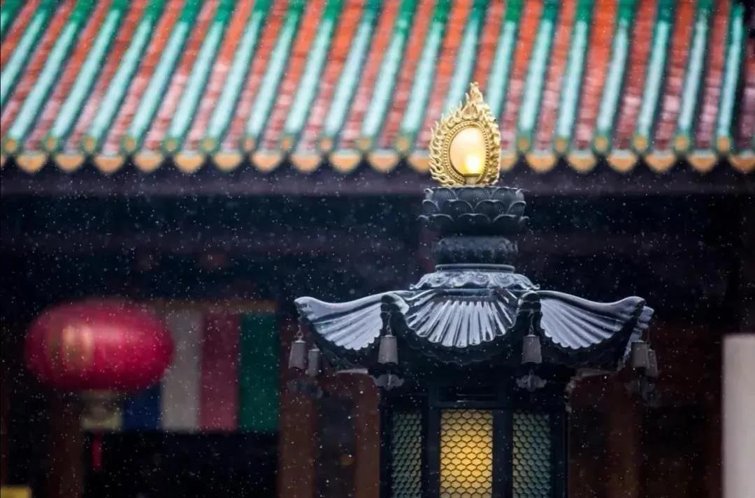 我们如何才能做到临终不怕死? 我们如何才能做到临终不怕死?