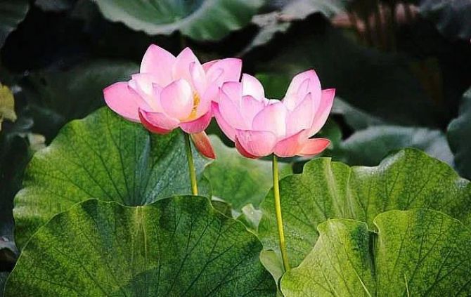 世纪拷问:人为什么会有烦恼? 世纪拷问:人为什么会有烦恼?