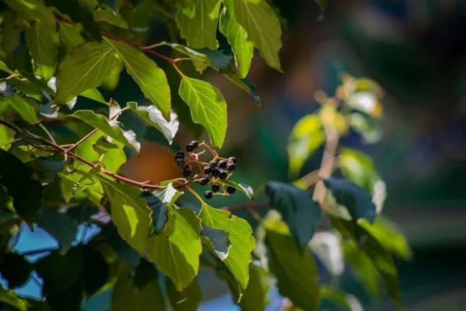 莫要做十种奇怪的学佛人! 莫要做十种奇怪的学佛人!
