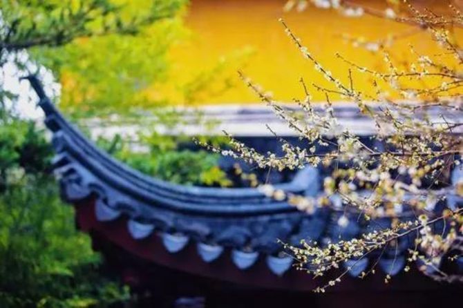 一句佛号一块金,多念结成净土因 一句佛号一块金,多念结成净土因