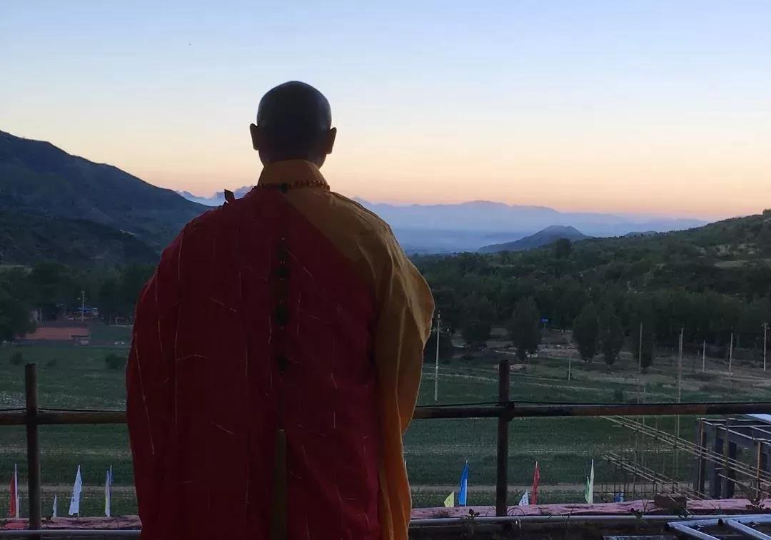 ǧ��Ҫ�ѡ�ʮ�����������ɷ����Լ��Ľ��