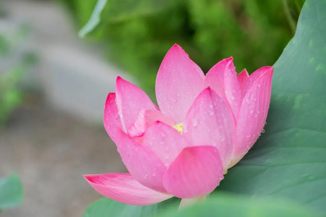 你信佛,迷信了吗? 你信佛,迷信了吗?