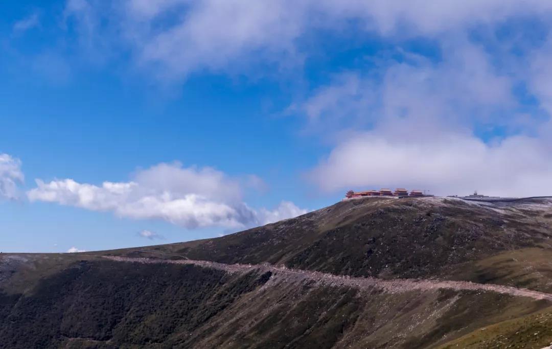 可不可以就一句佛号念到底? 可不可以就一句佛号念到底?