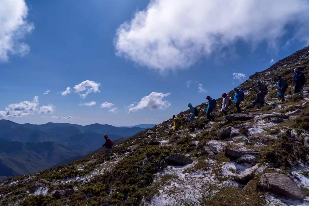 可不可以就一句佛号念到底? 可不可以就一句佛号念到底?