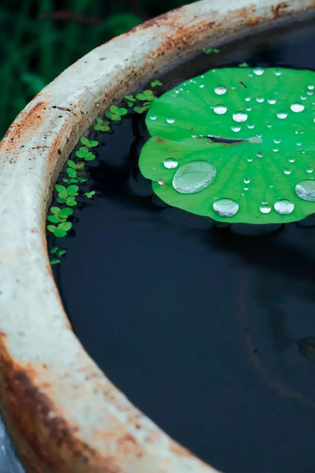 ҵ��ʼ�����������㻹û�������ַ���