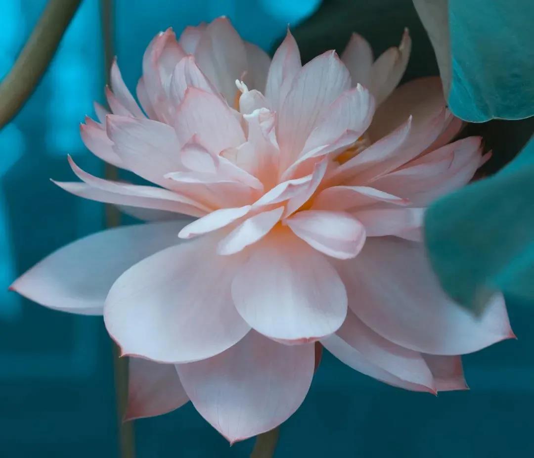 Ī�����׵�_�������п�_����_��һ����������