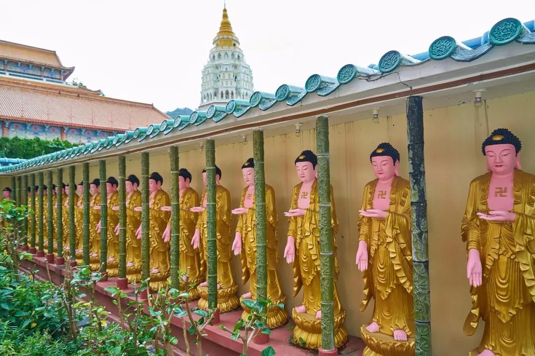 ���۴�ʦ����𹦷�