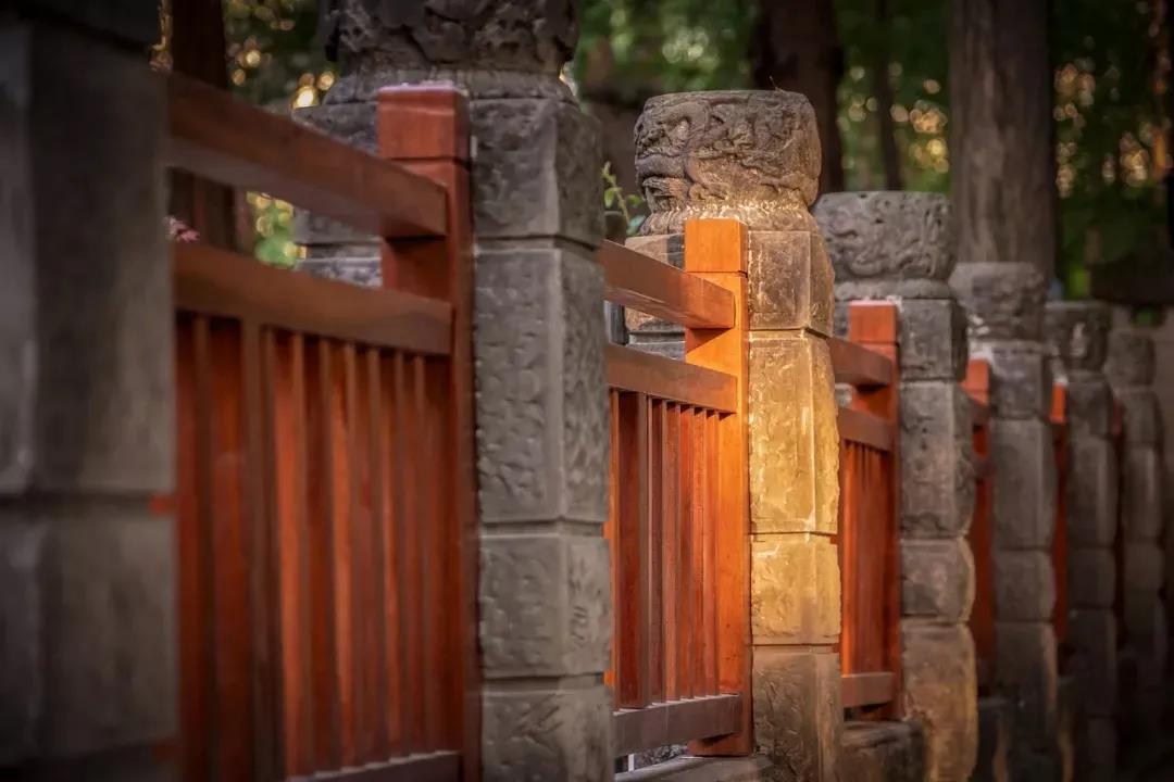 �𾭼������ж�ʮ�ѣ�������ռ��������