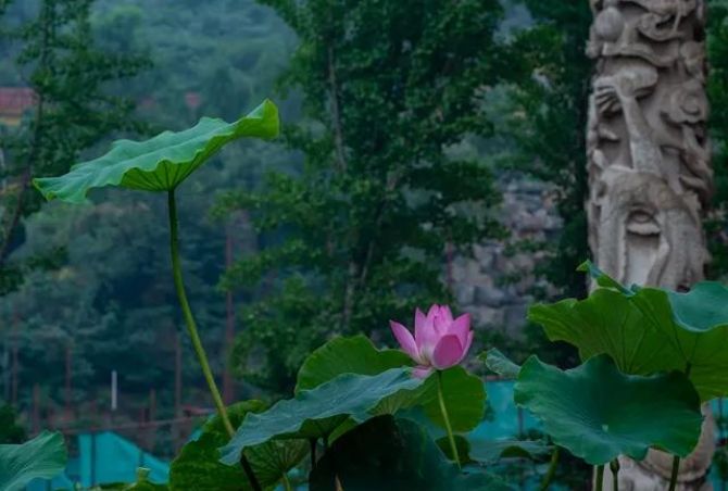 �����ٶ๦��Ҳ����ȥ����һ����