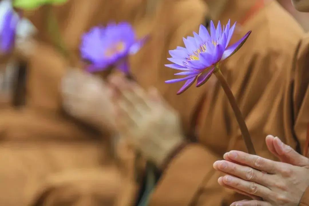 ����ת�������ǽ��������ǵ������ϡ�