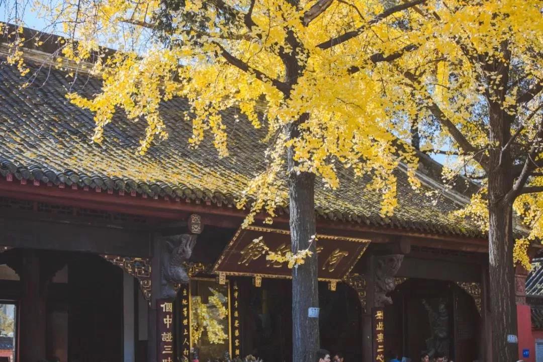 �����ǵ�Ե�������ǵ�ҵ��