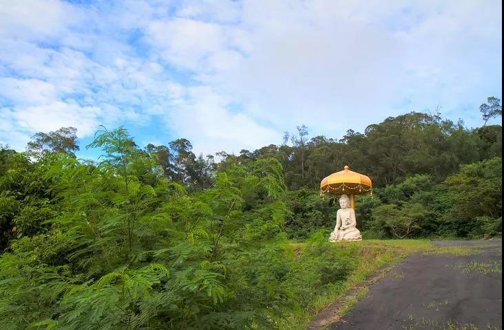 ����������µ������֣�������������