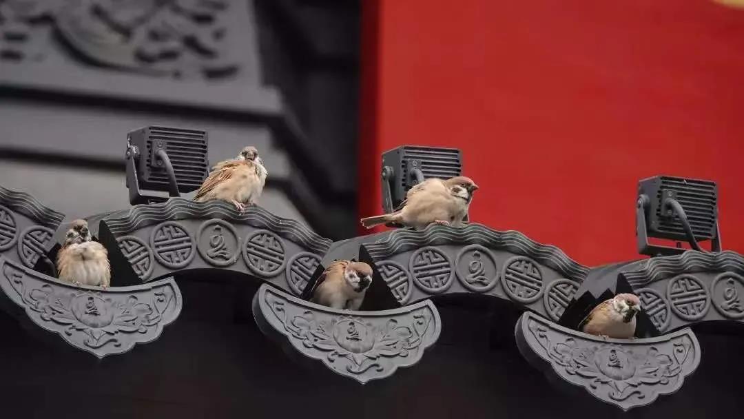 ����̸���������ҵ��