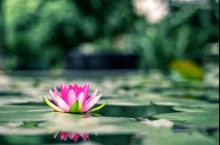 �ܰ������������ģ�������ʵ������