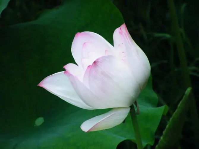 �ܰ������������ģ�������ʵ������