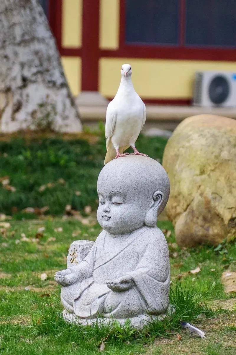 印光法师:一心不乱,在心专注与恳切耳 印光法师:一心不乱,在心专注与恳切耳