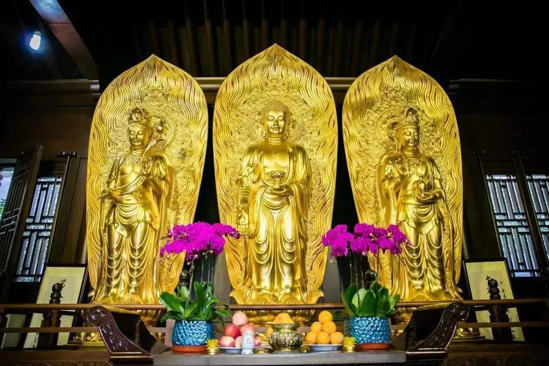 Ϊʲô���������������ˣ������ôʹ�ࣿ��