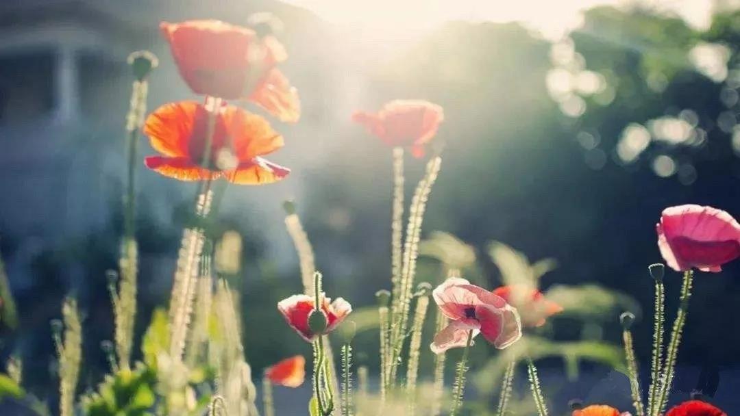 Ϊʲô���������������ˣ������ôʹ�ࣿ��